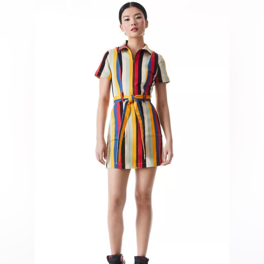 Alice + Olivia- Gorgeous Belted Striped Mini Dress with Tie Belt